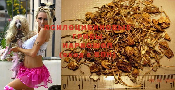 винт Алзамай