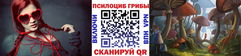 Галлюциногенные грибы мухоморы darknet наркотические препараты Мичуринск